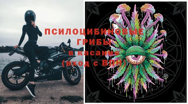 спиды Аркадак