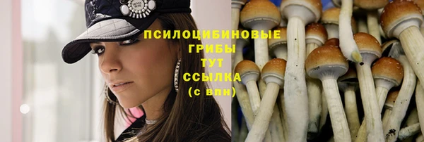 спайс Арсеньев