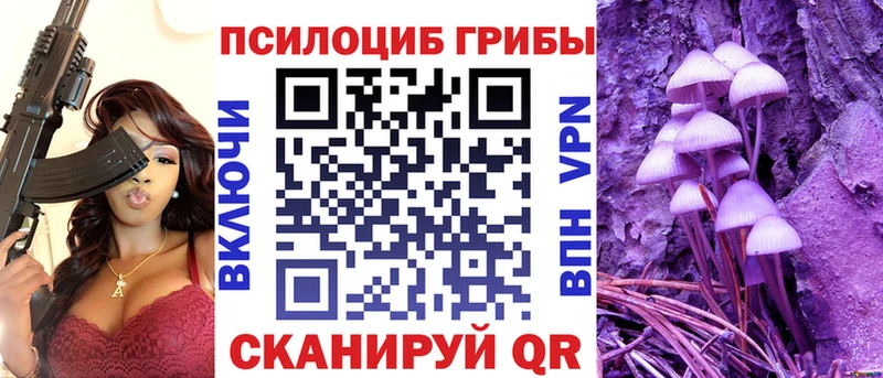 даркнет телеграм kraken как зайти Темрюк цена наркотик Псилоцибиновые грибы MAGIC MUSHROOMS
